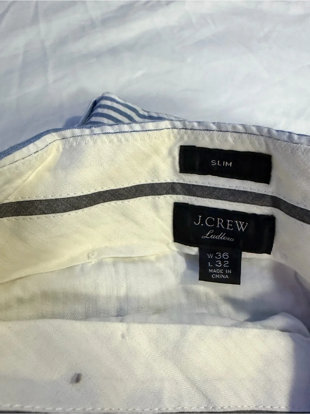 J. Crew Blue and White Striped Chinos